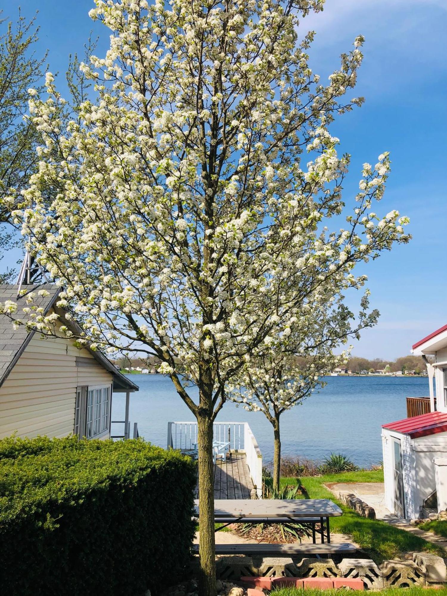The Wellington Lake Cottage Middlebury ภายนอก รูปภาพ
